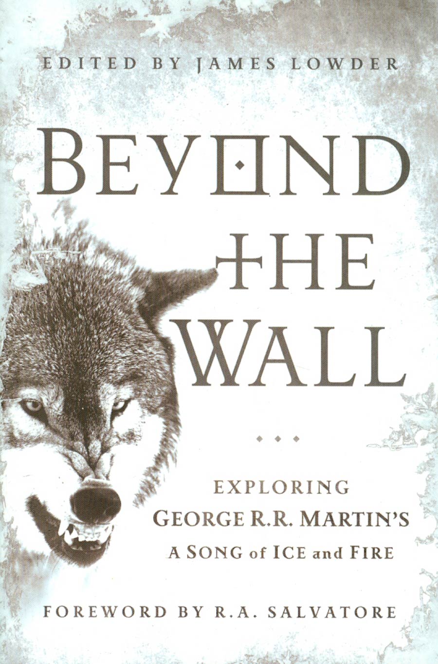 Beyond The Wall Exploring George RR Martins A Song Of Ice And Fire SC