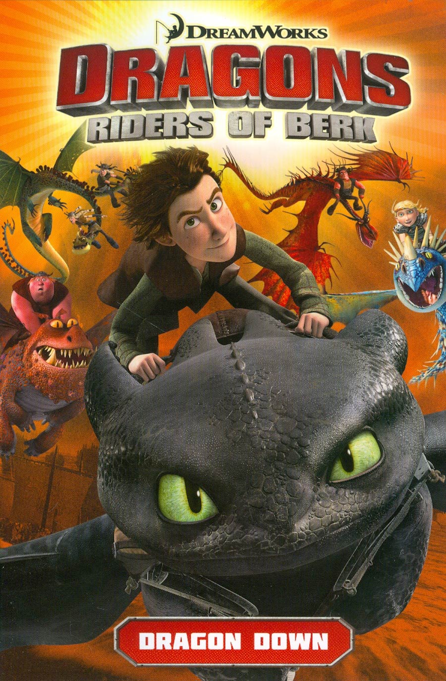 Dragons Riders Of Berk Vol 1 GN