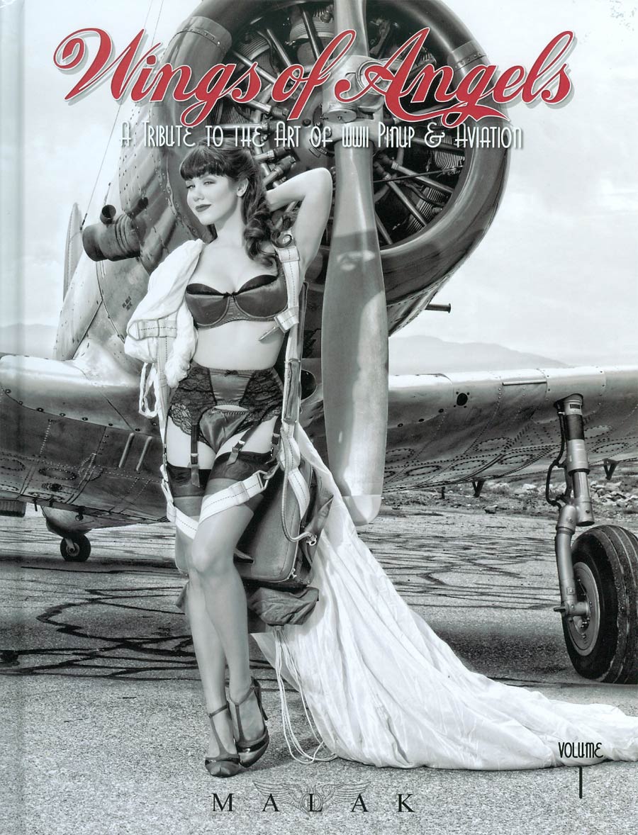 Wings Of Angels Tribute To The Art Of World War II Pin-Up & Aviation Vol 1 HC