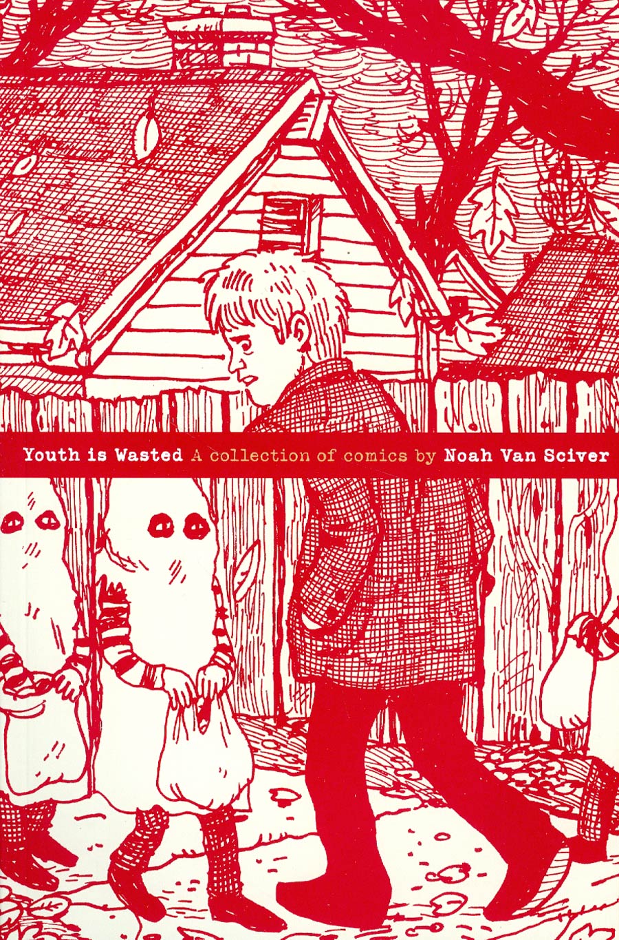 Youth Is Wasted A Collection Of Comics By Noah Van Sciver GN