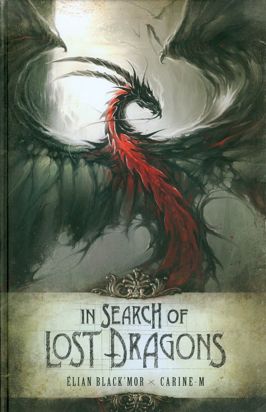 In Search Of Lost Dragons HC