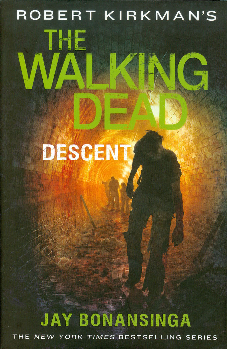 Walking Dead Descent HC