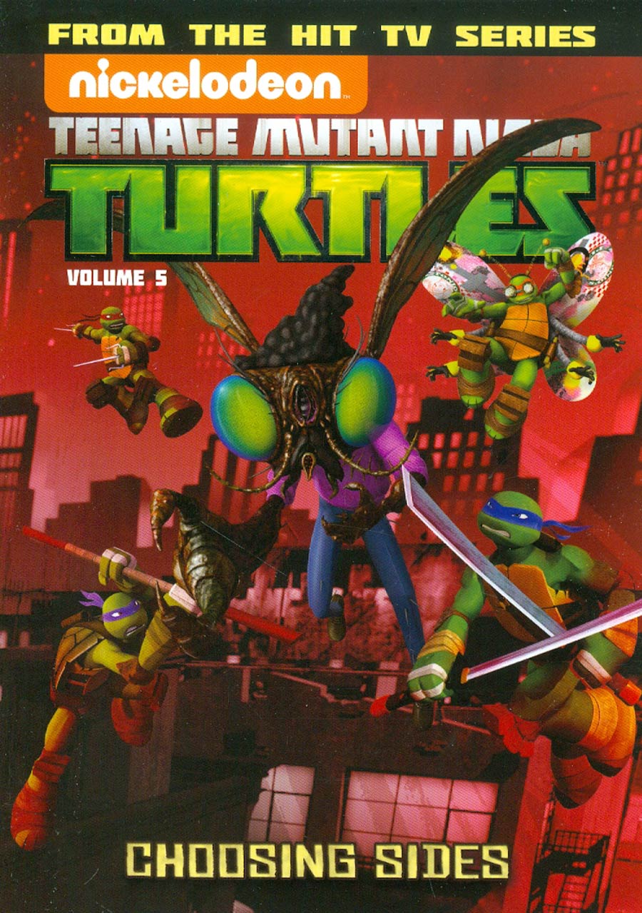 Teenage Mutant Ninja Turtles Animated Vol 5 Choosing Sides TP