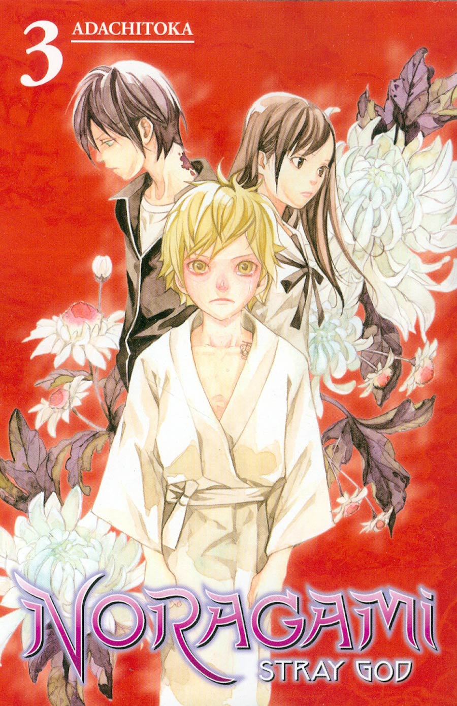Noragami Stray God Vol 3 GN