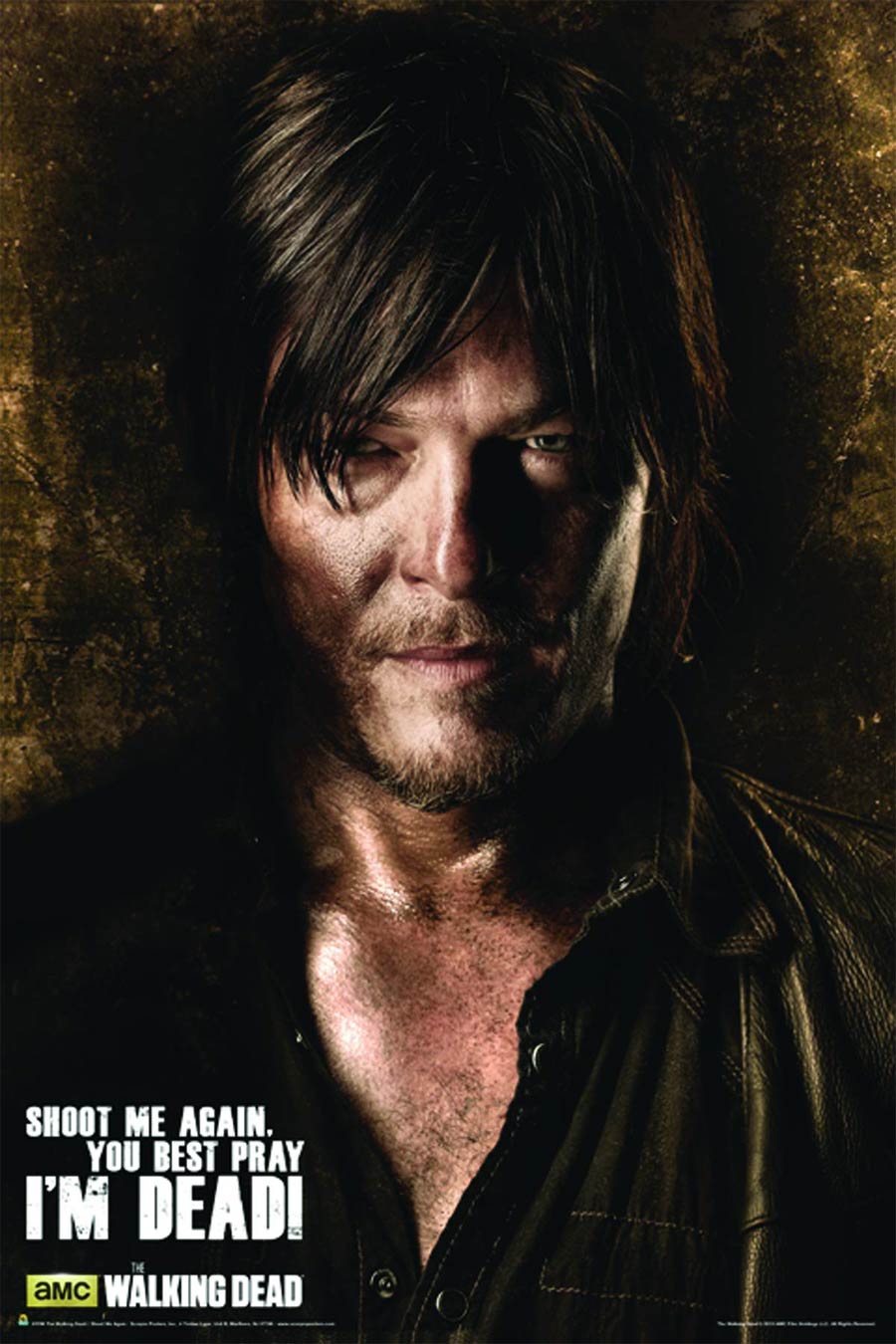 Walking Dead TV Series Poster - Shoot Me