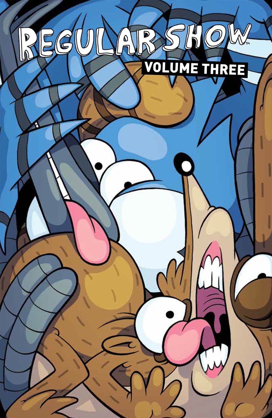 Regular Show Vol 3 TP
