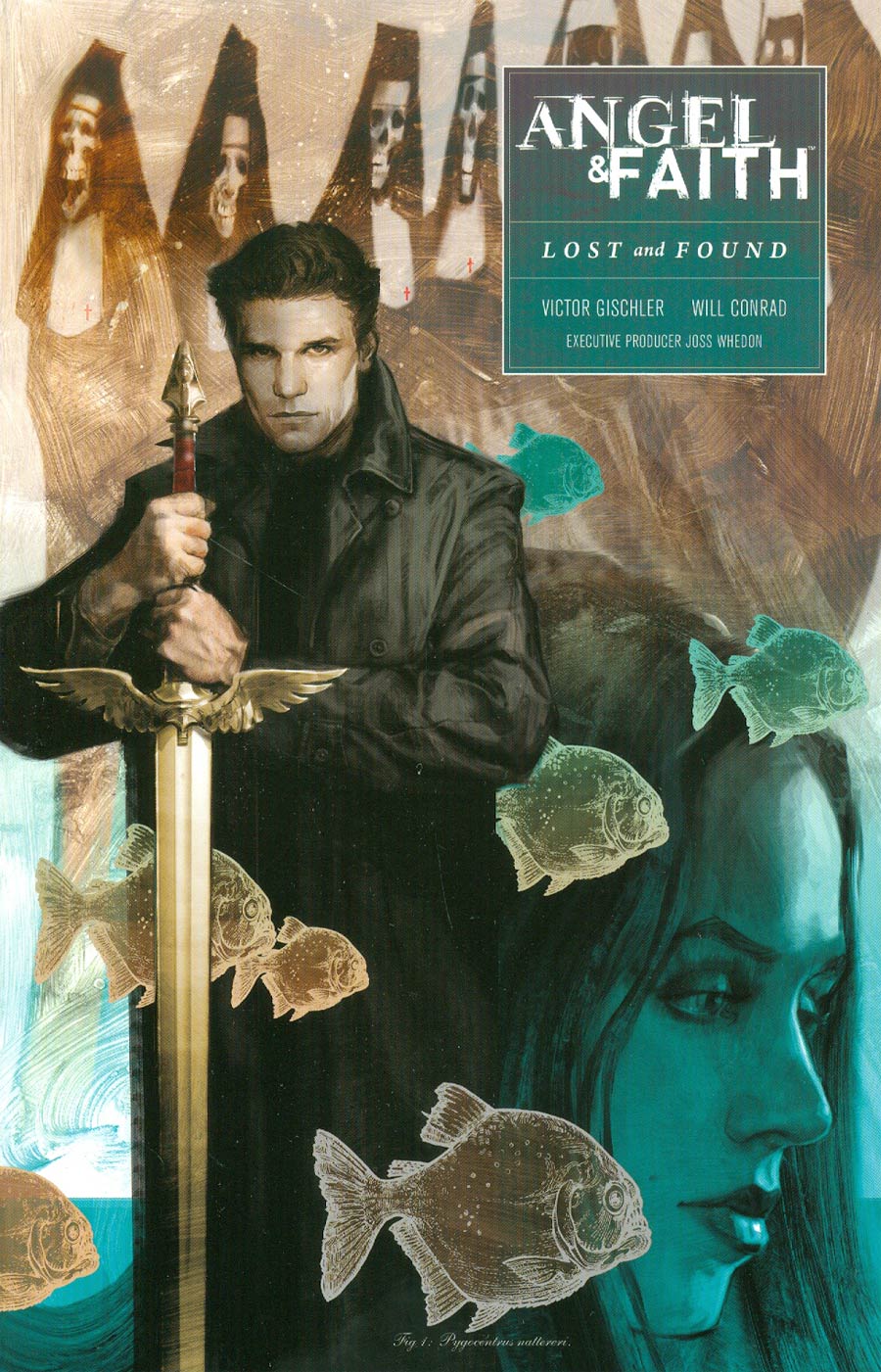 Angel And Faith Season 10 Vol 2 Lost And Found TP