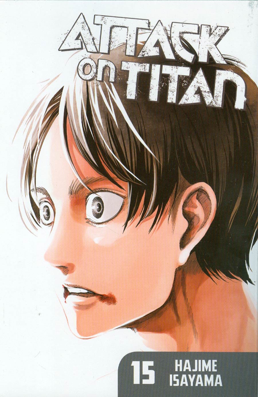 Attack On Titan Vol 15 GN