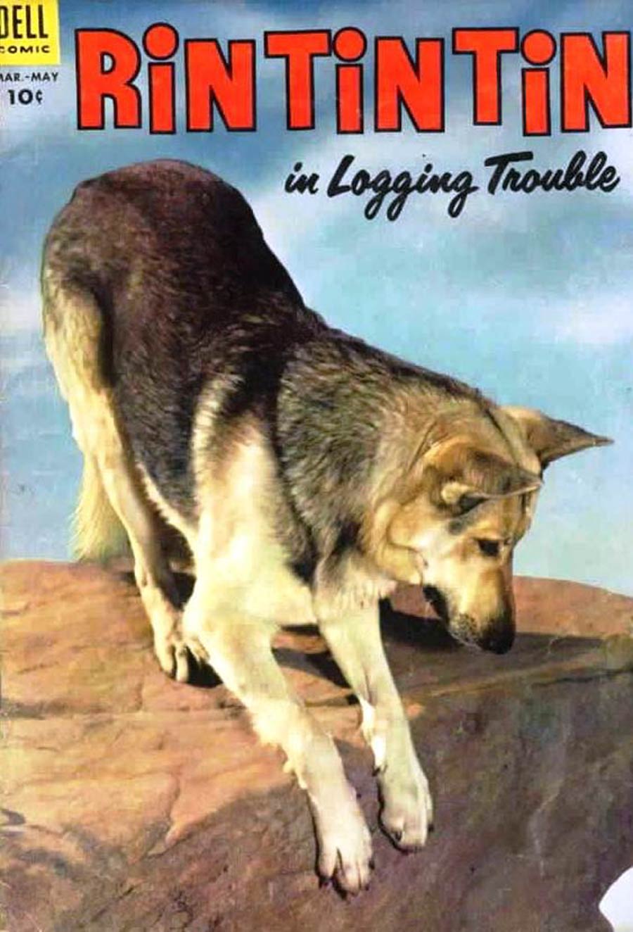 Rin Tin Tin #4