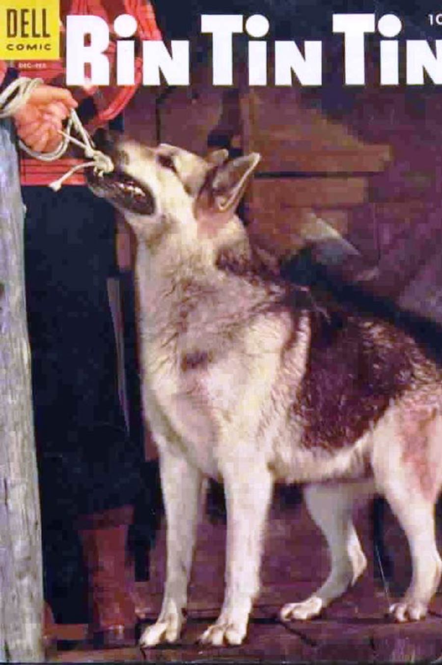 Rin Tin Tin #7