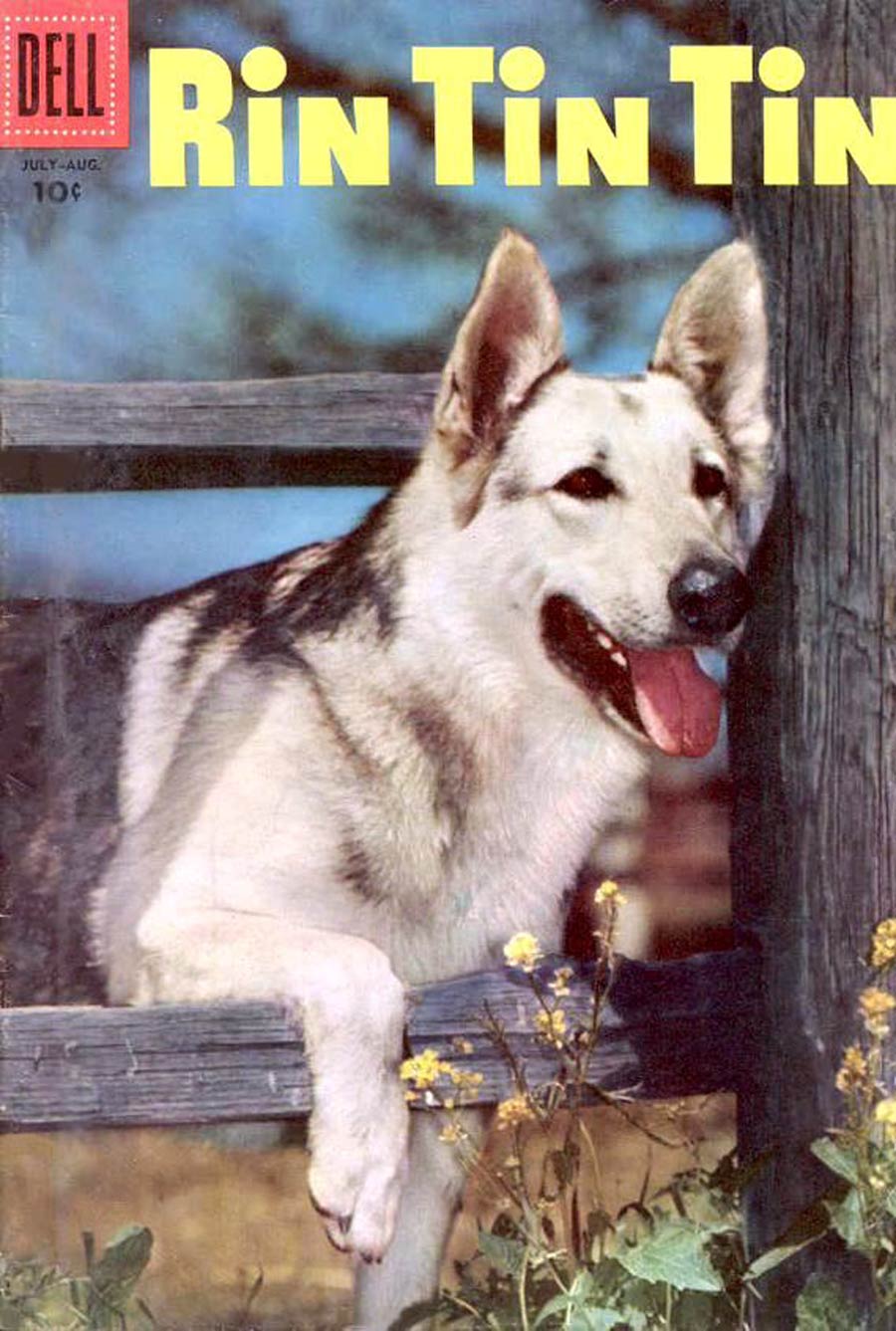 Rin Tin Tin #14