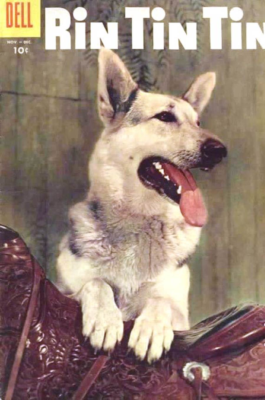 Rin Tin Tin #16
