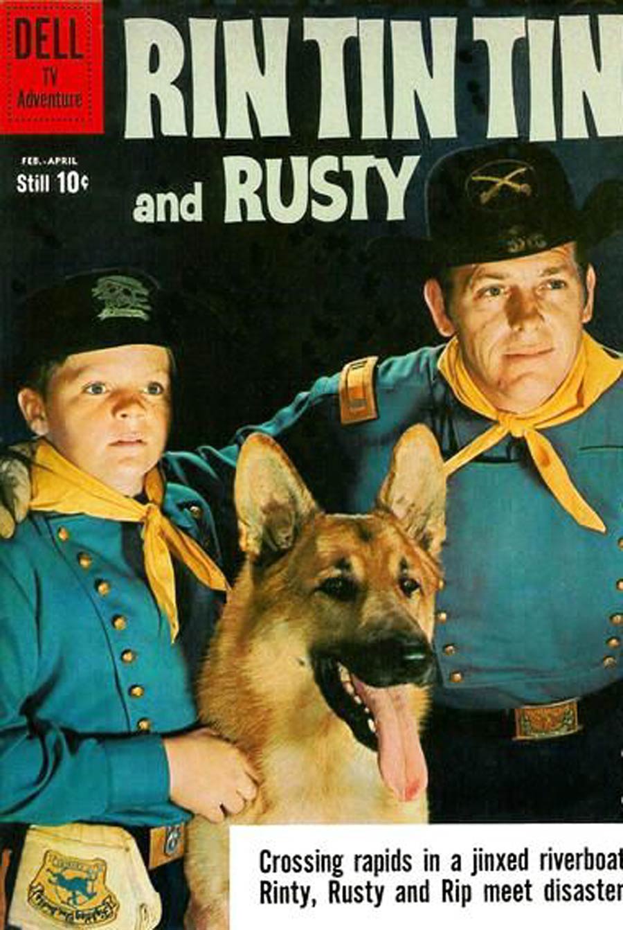 Rin Tin Tin #33