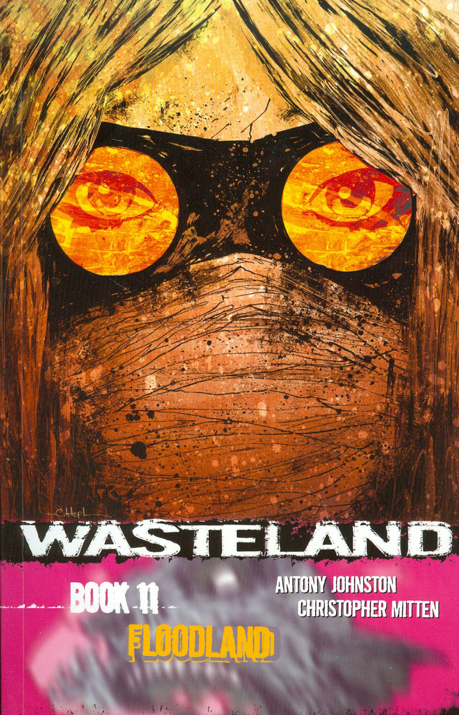 Wasteland Book 11 Floodland TP