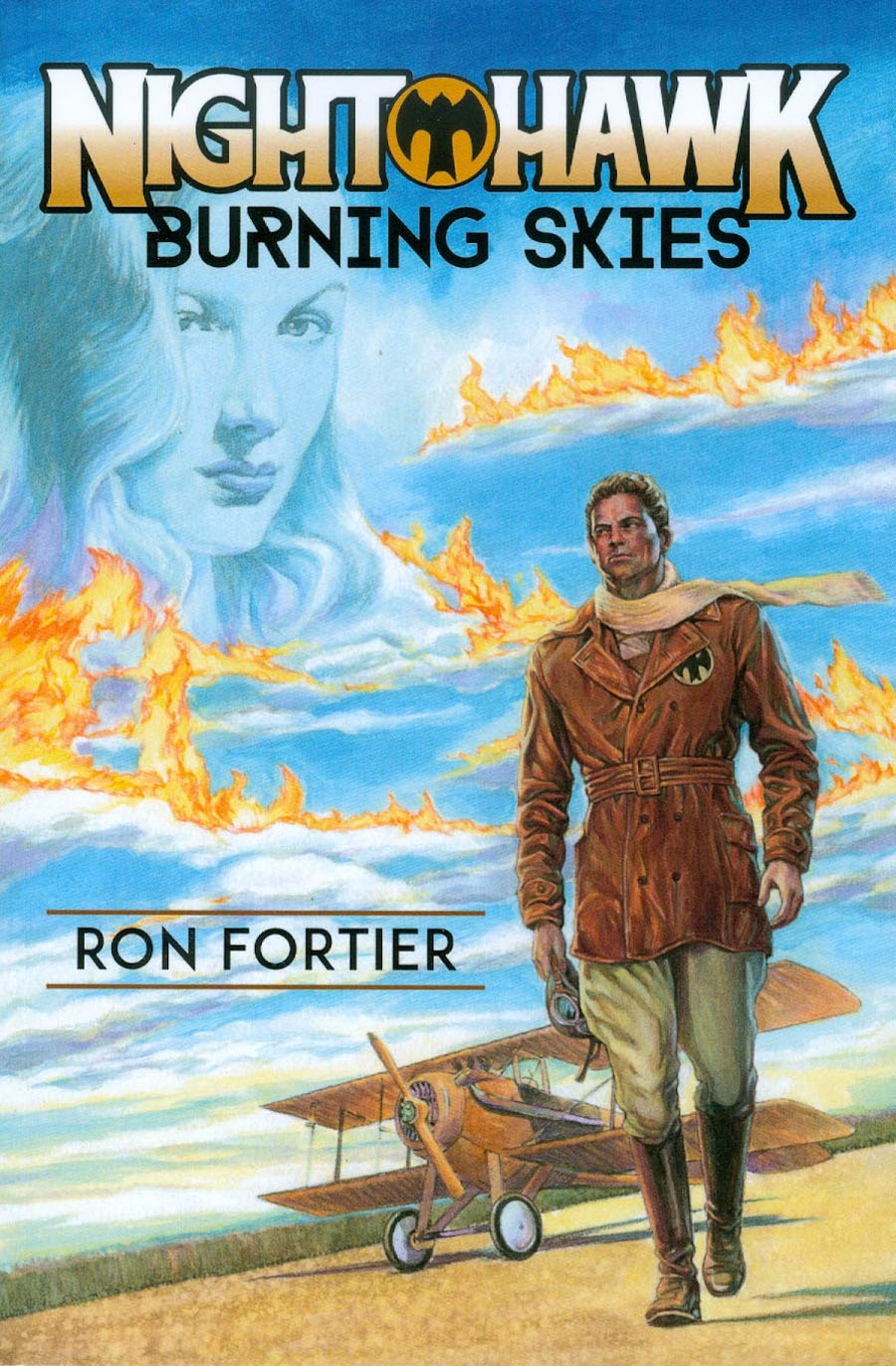 Night Hawk Burning Skies Novel TP