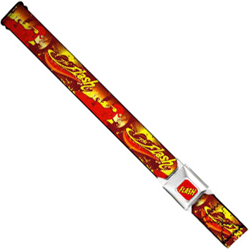 DC Comics Seatbelt-Style Belt 24-38 Inches - Flash Funky Logo