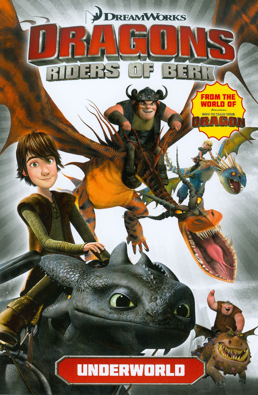 Dragons Riders Of Berk Vol 6 Underworld GN