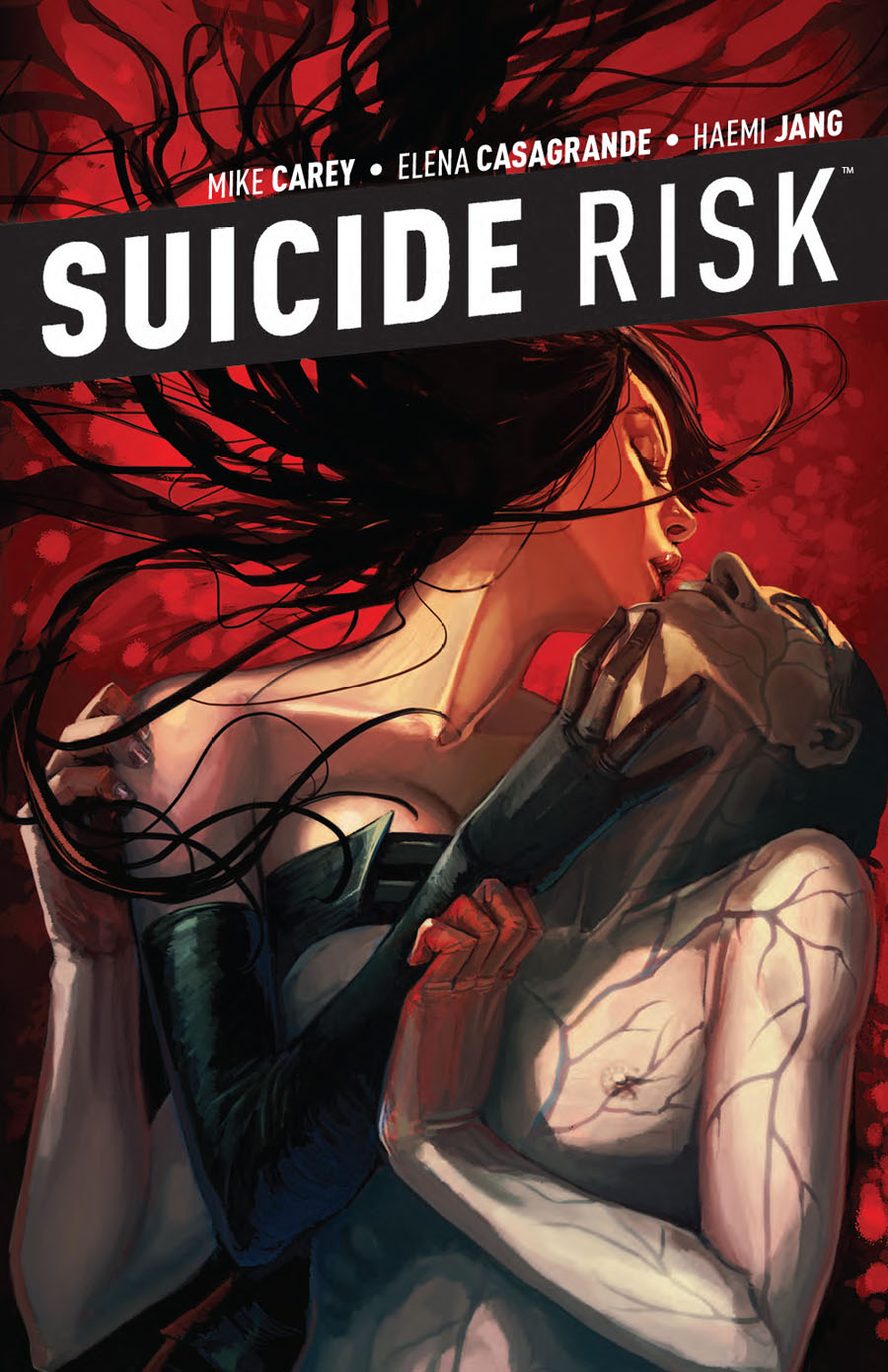 Suicide Risk Vol 5 TP