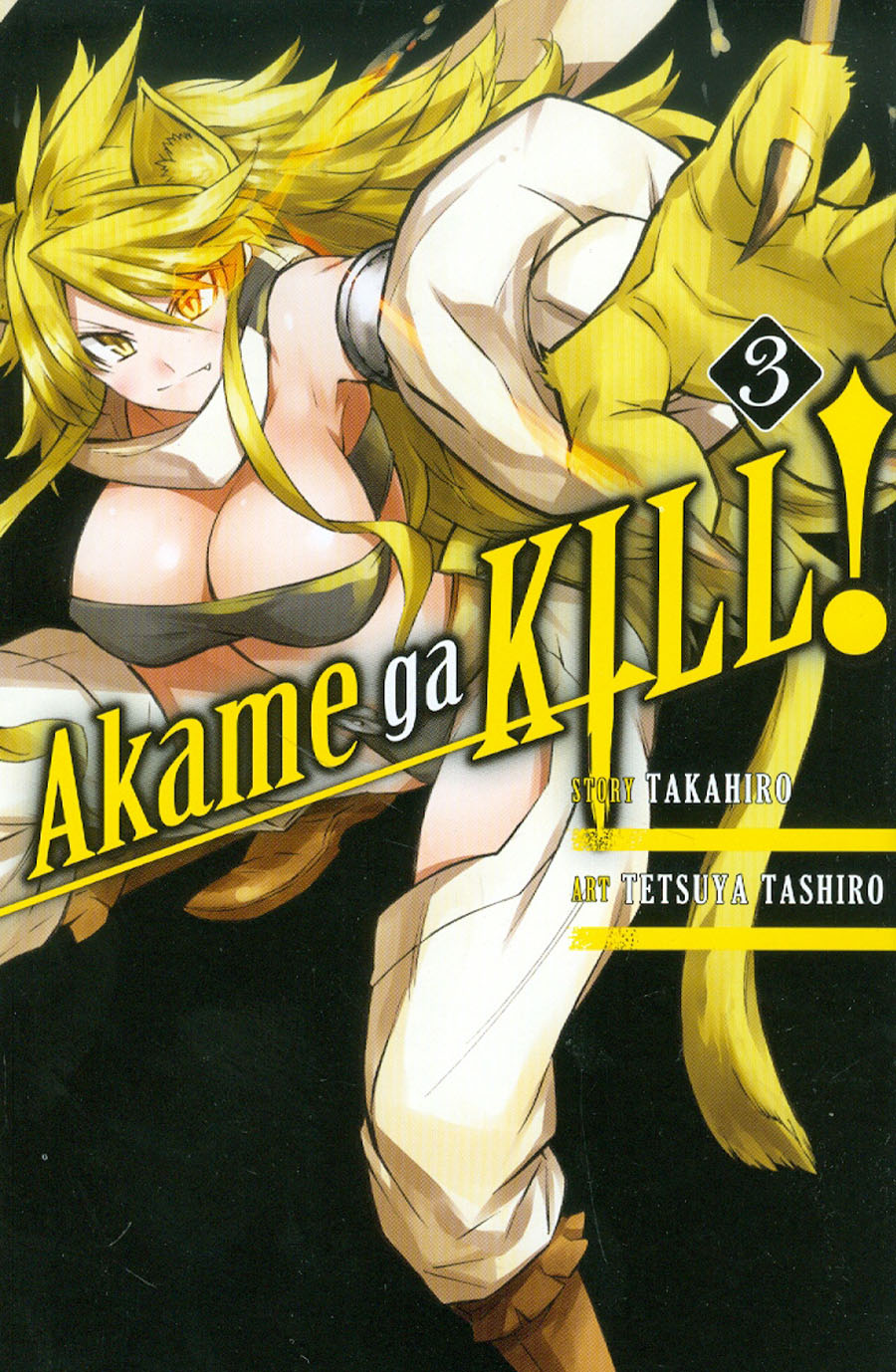 Akame Ga Kill Vol 3 GN