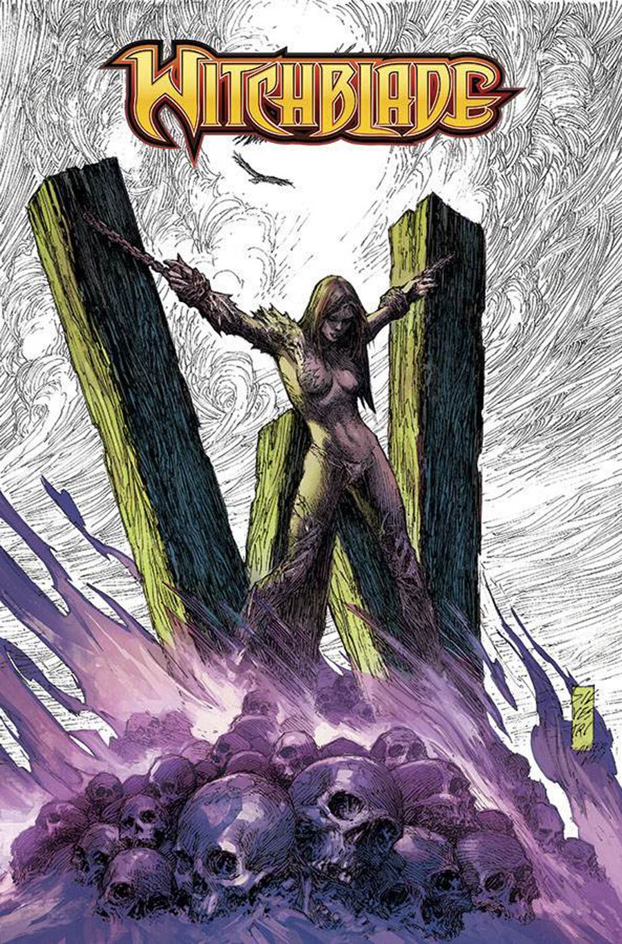 Art Of Witchblade 20th Anniversary Edition HC