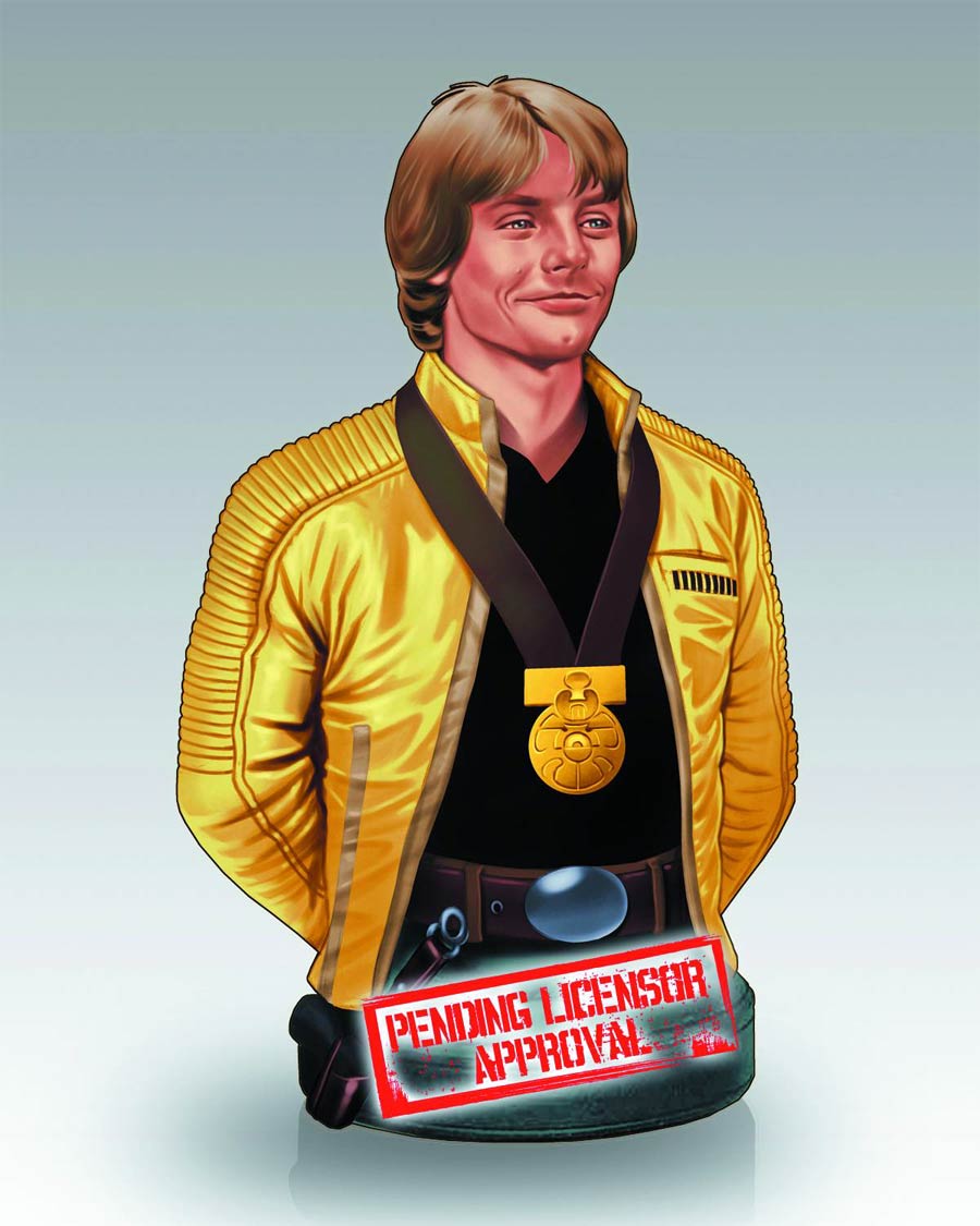 Star Wars Luke Hero Of Yavin Mini Bust