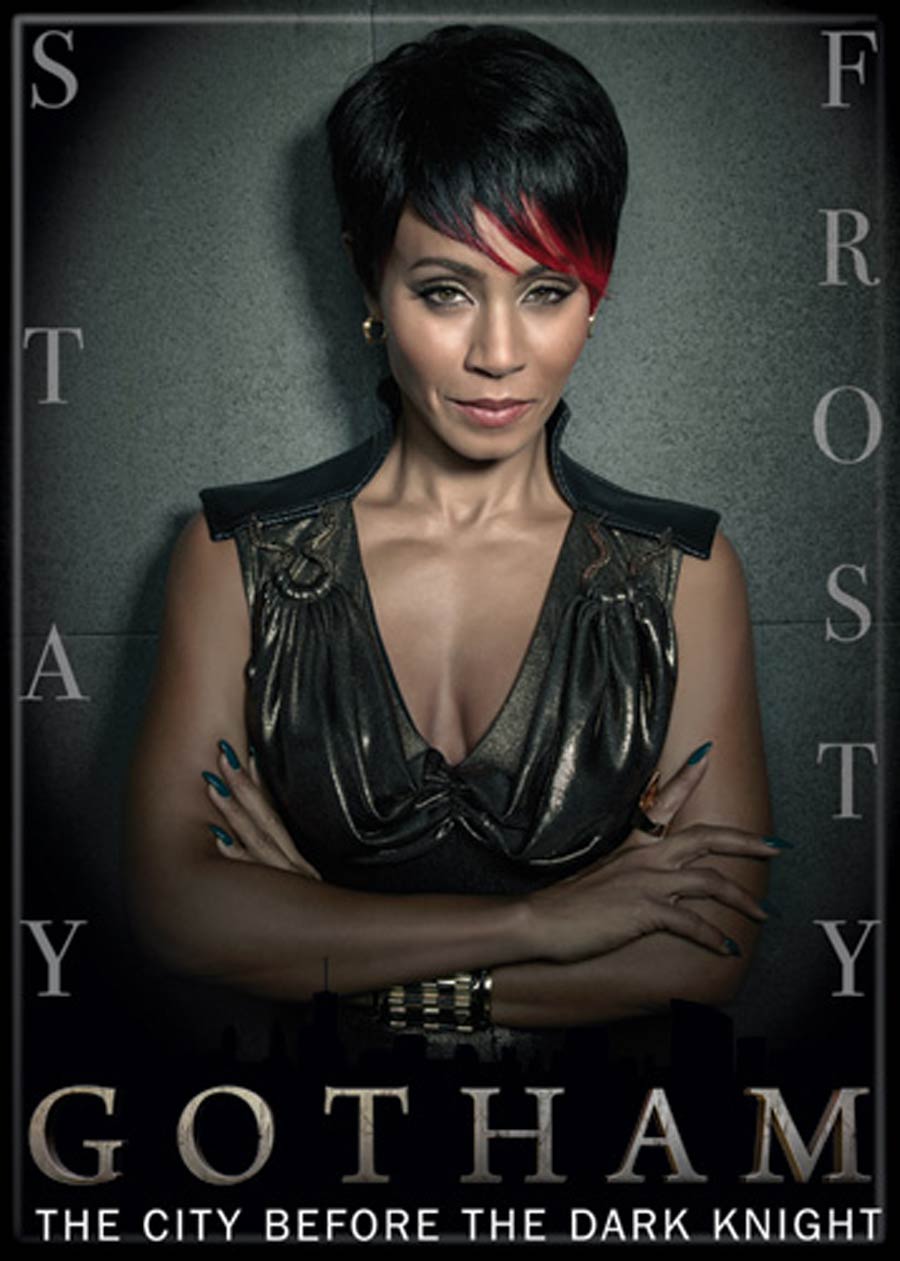 Gotham TV 2.5x3.5-inch Magnet - Fishmooney (71724DC)