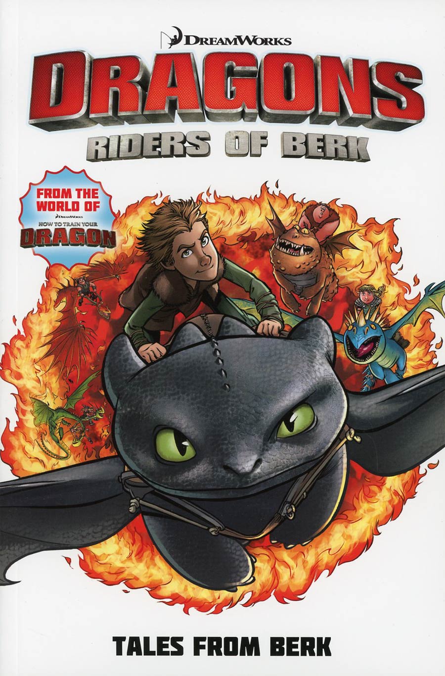 Dragons Riders Of Berk Vol 1 Tales From Berk TP