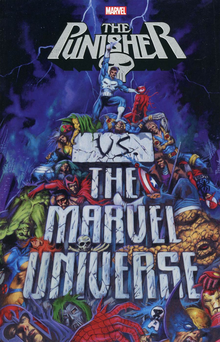 Punisher vs The Marvel Universe TP