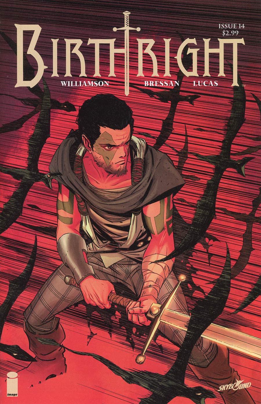 Birthright #14 Cover B Nick Dragotta