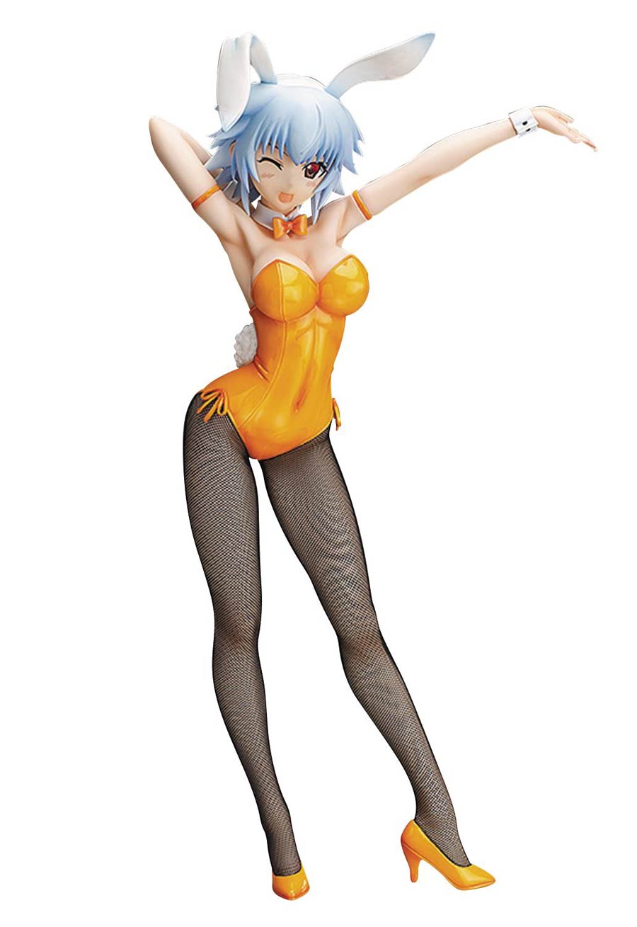Infinite Stratos Tatenashi Sarashiki Bunny Outfit 1/4 Scale PVC Figure