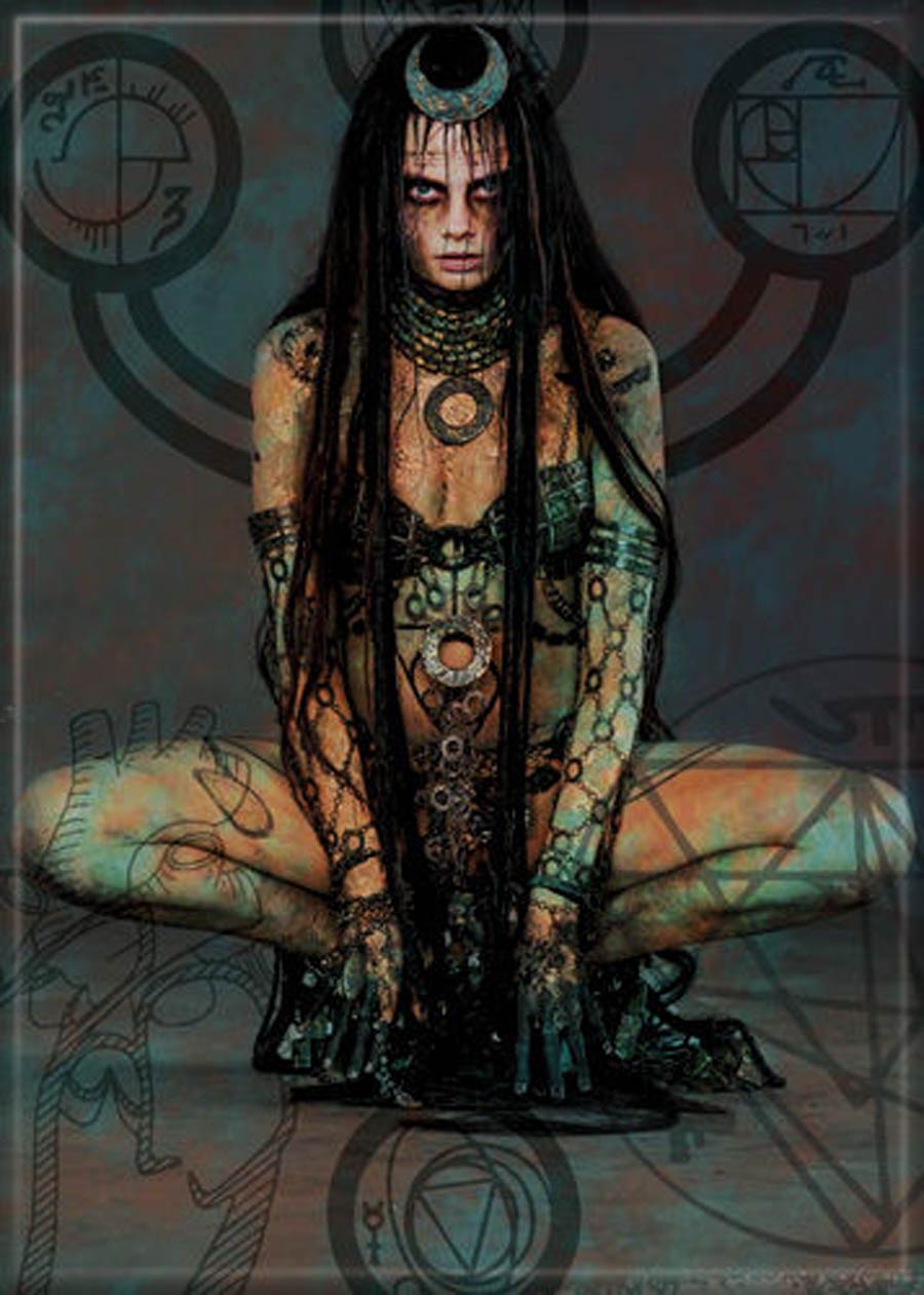 DC Comics 2.5x3.5-inch Magnet Suicide Squad - Enchantress (72043DC)