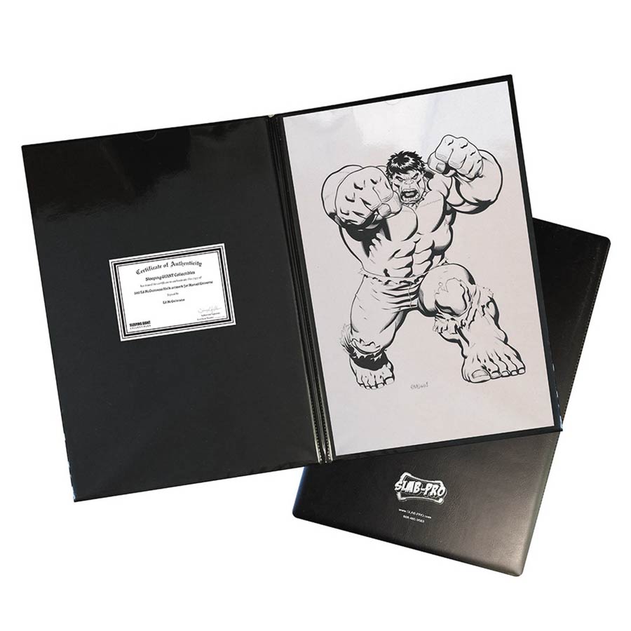 Slab-Pro Portfolio Art Protector