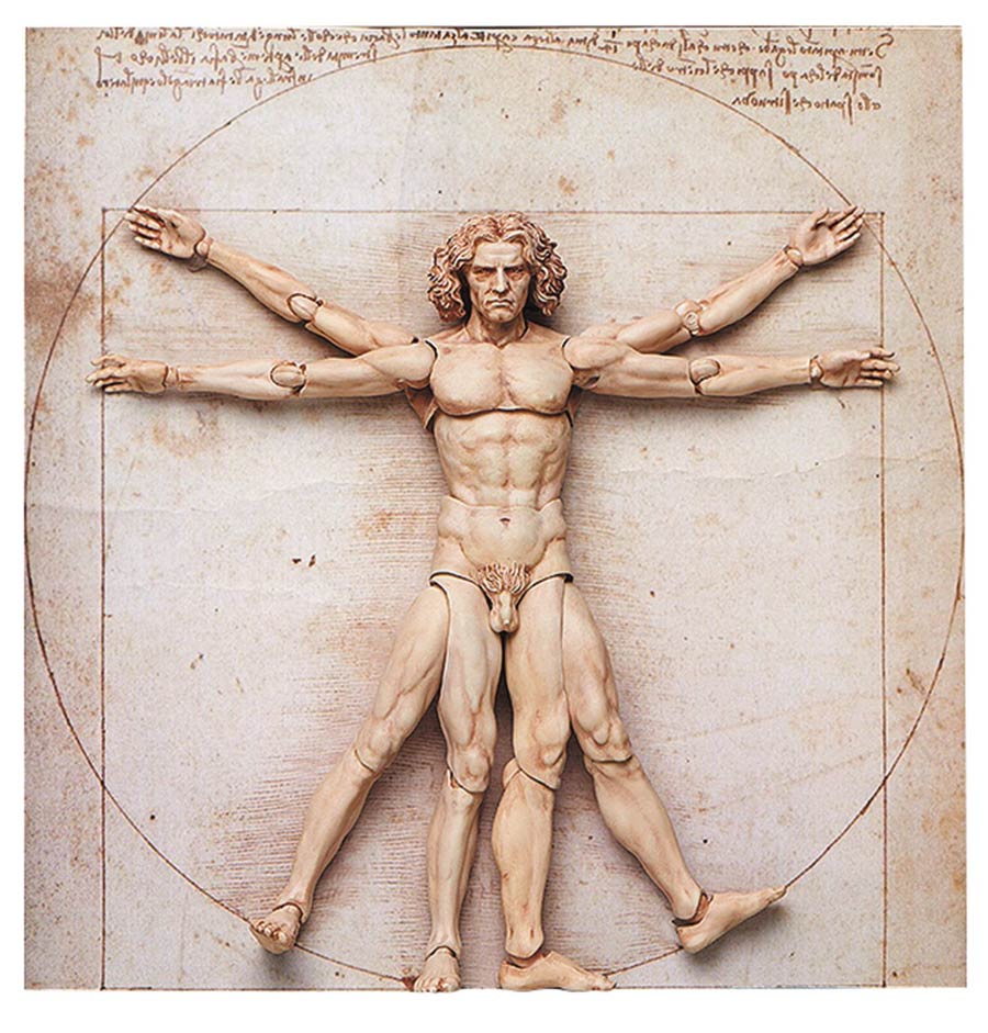 Table Museum The Vitruvian Man Figma Action Figure