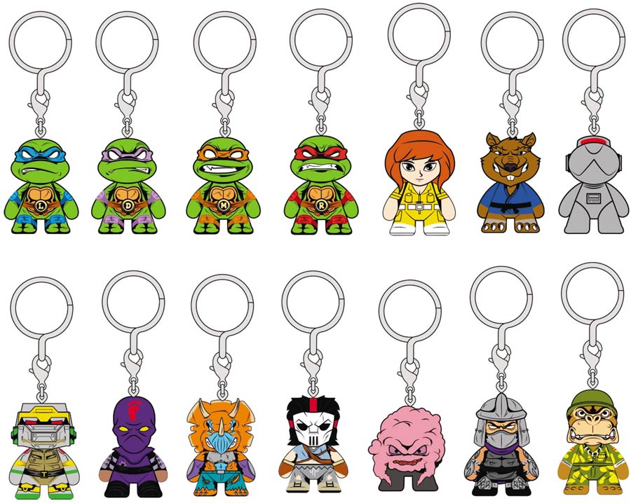 Teenage Mutant Ninja Turtles Shell Shock Keychain Series Blind Mystery Box