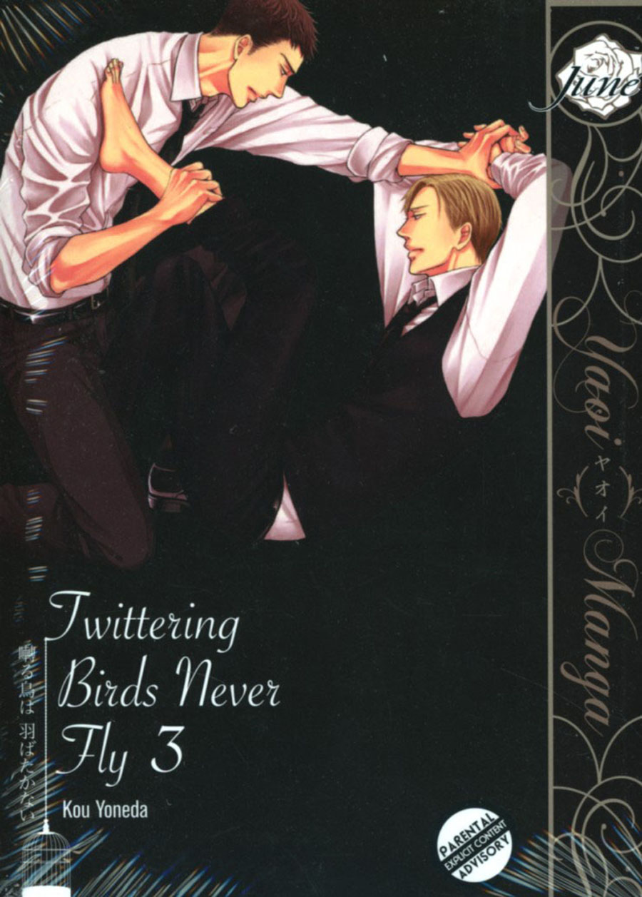 Twittering Birds Never Fly Vol 3 GN