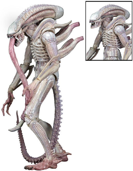 Aliens Series 9 Alien Albino 7-inch Action Figure