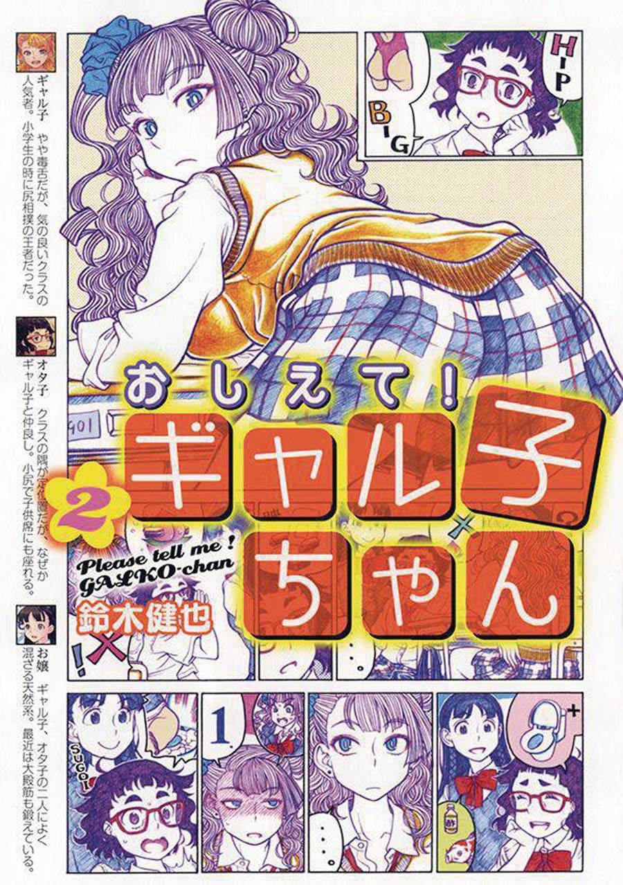 Please Tell Me Galko-Chan Vol 2 GN