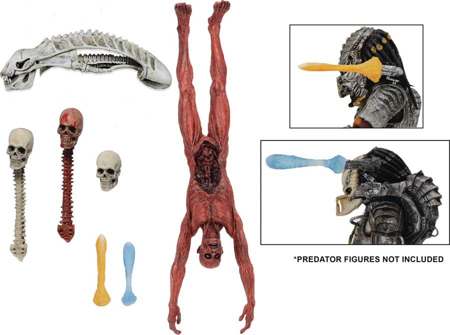 Predator Accessory Pack