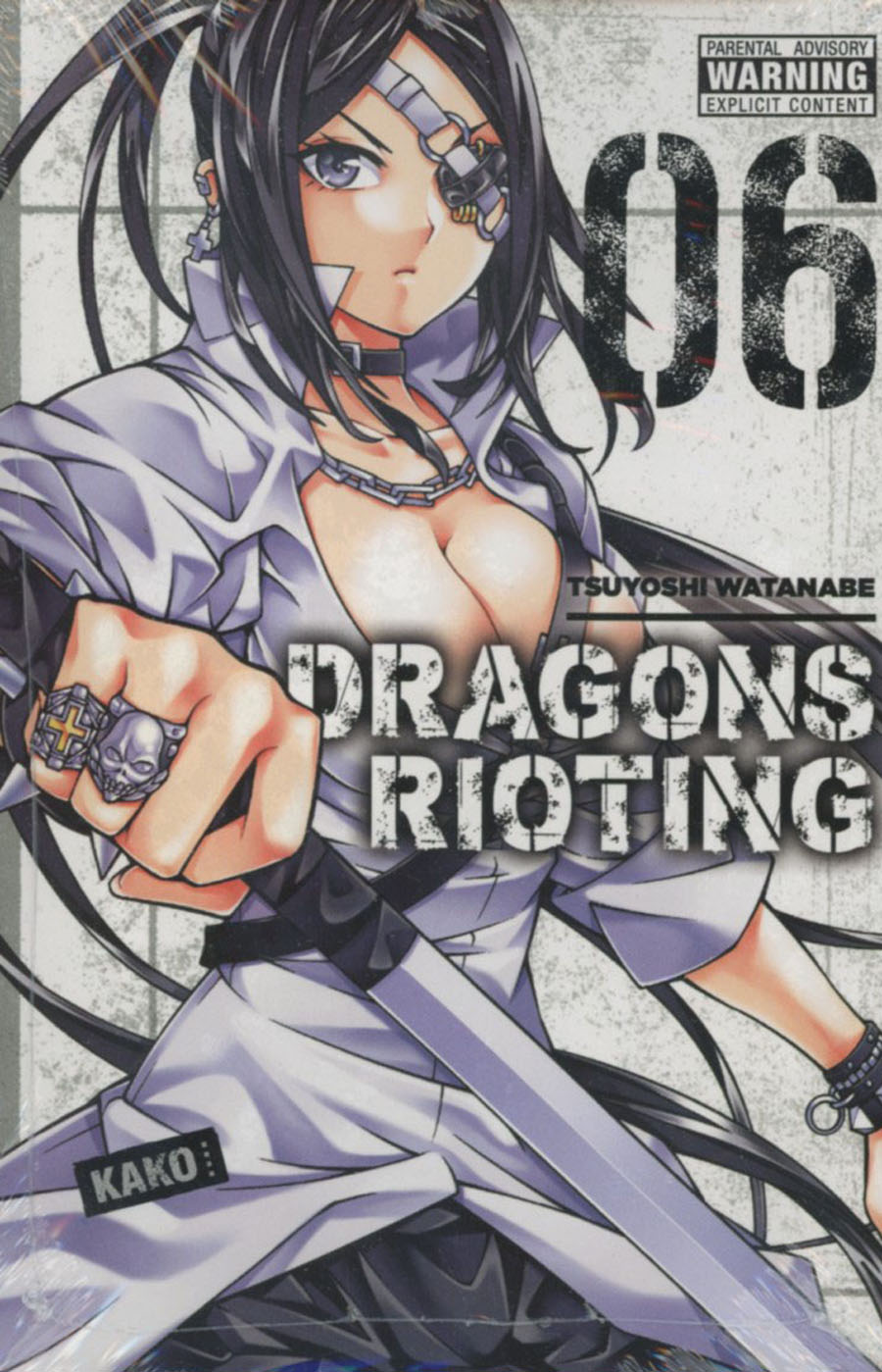 Dragons Rioting Vol 6 GN