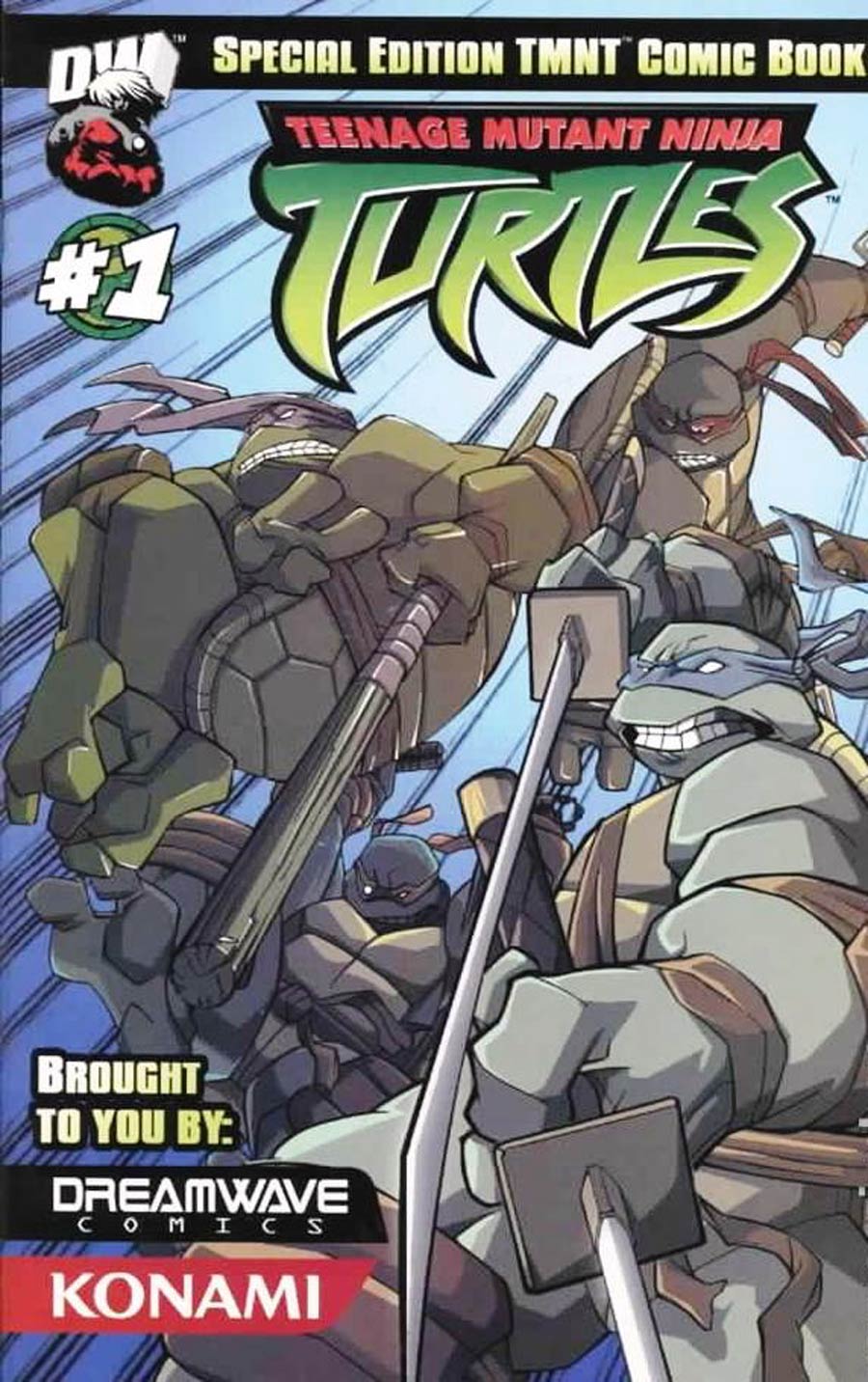 Teenage Mutant Ninja Turtles Animated #1 Cover C Pat Lee Alternate Cover