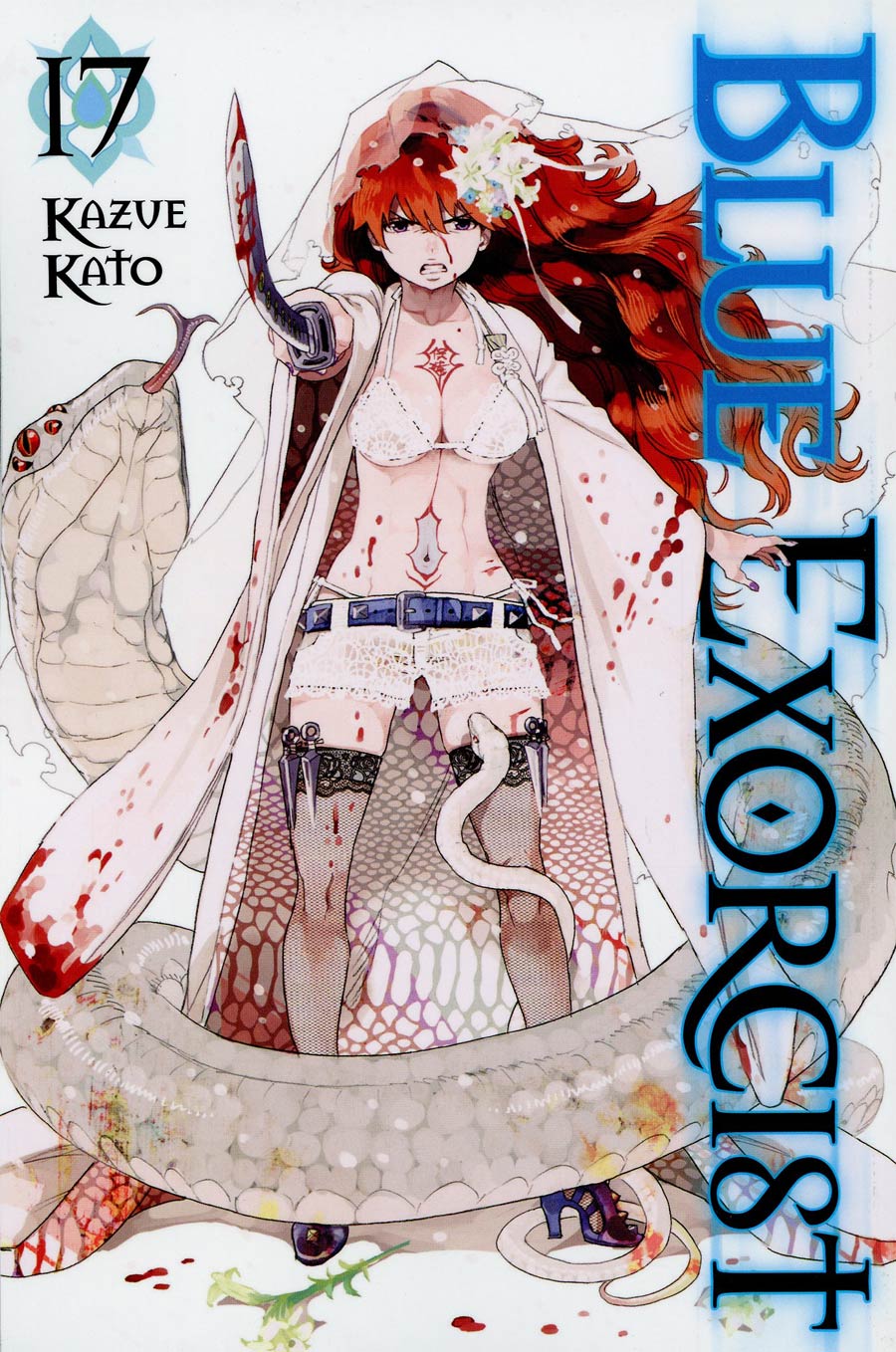 Blue Exorcist Vol 17 TP