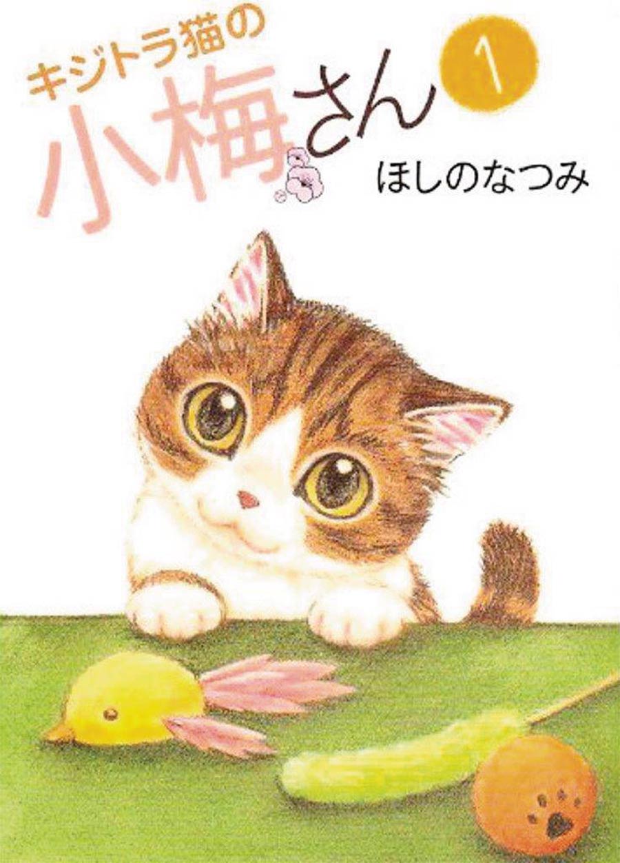Plum Crazy! Tales of a Tiger-Striped Cat, Vol. 5 by Hoshino Natsumi Plum Crazy! Tales of a Tiger-Striped Cat, Vol. 5 by Hoshino Natsumi