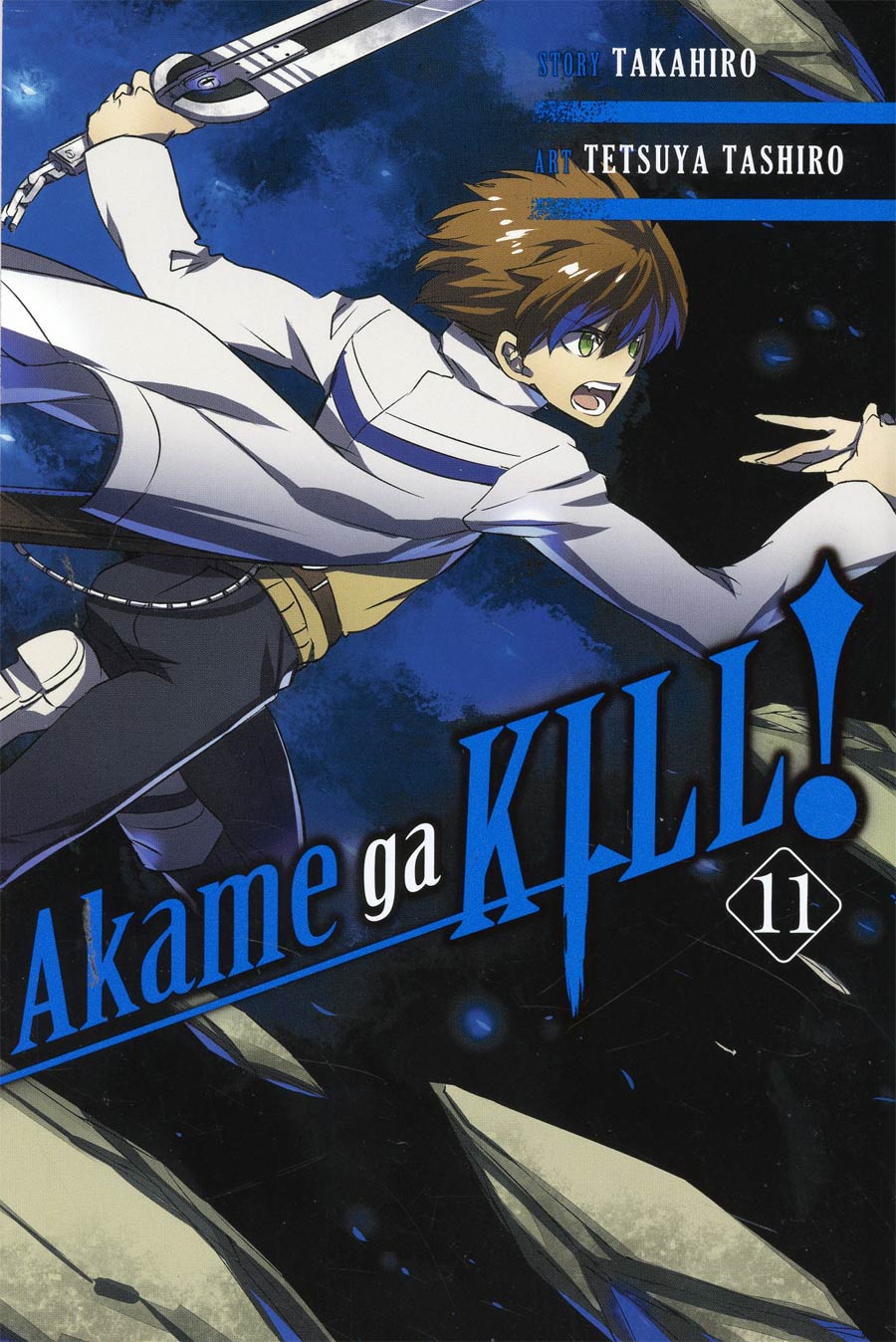 Akame Ga Kill Vol 11 GN