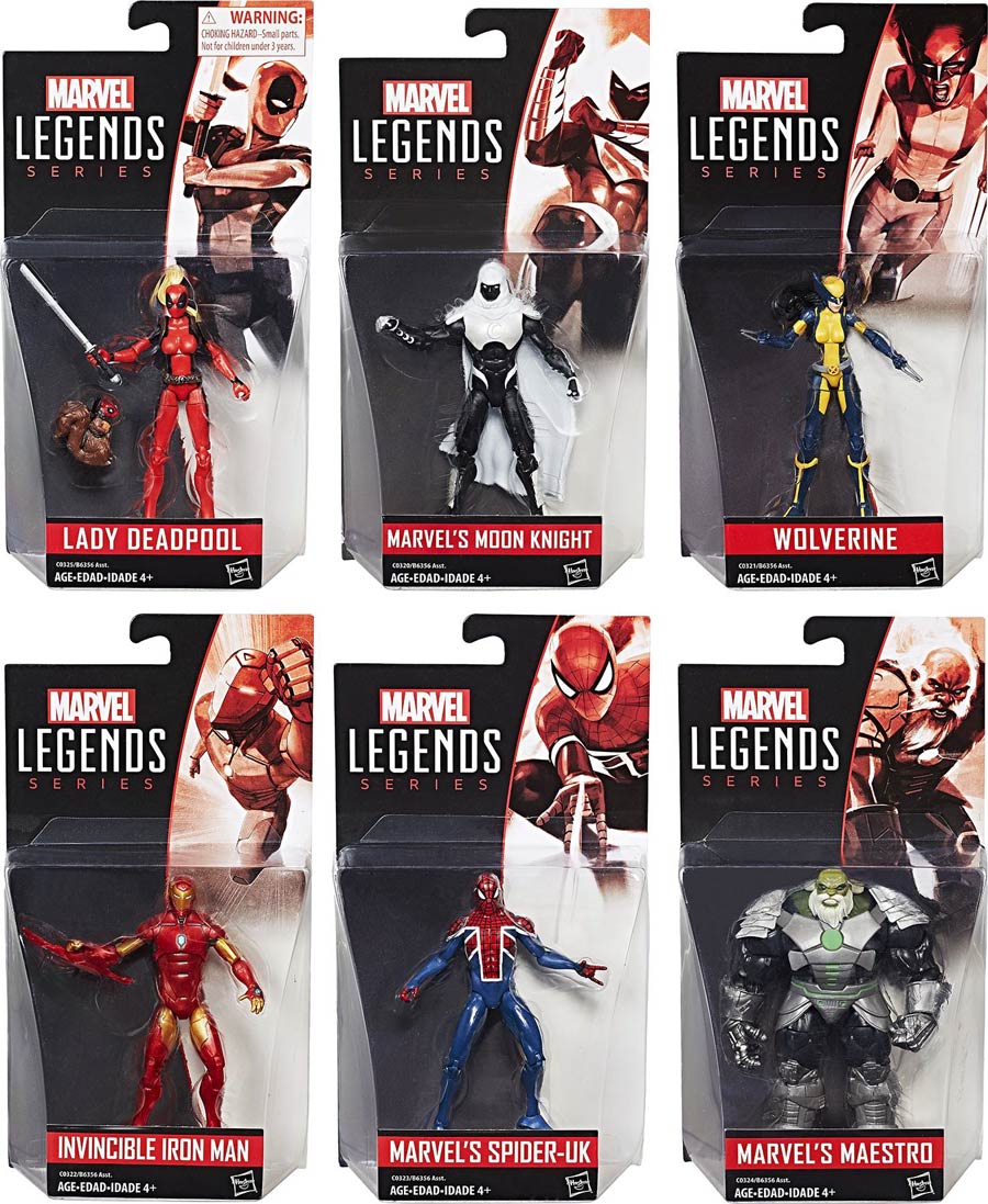 Marvel Legends 3-3/4 Inch Action Figure Assortment Case 201701