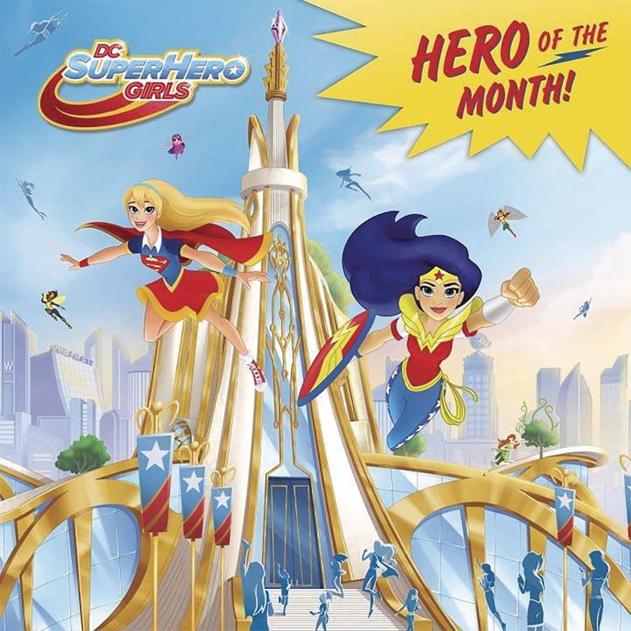 DC Super Hero Girls Hero Of The Month Pictureback SC