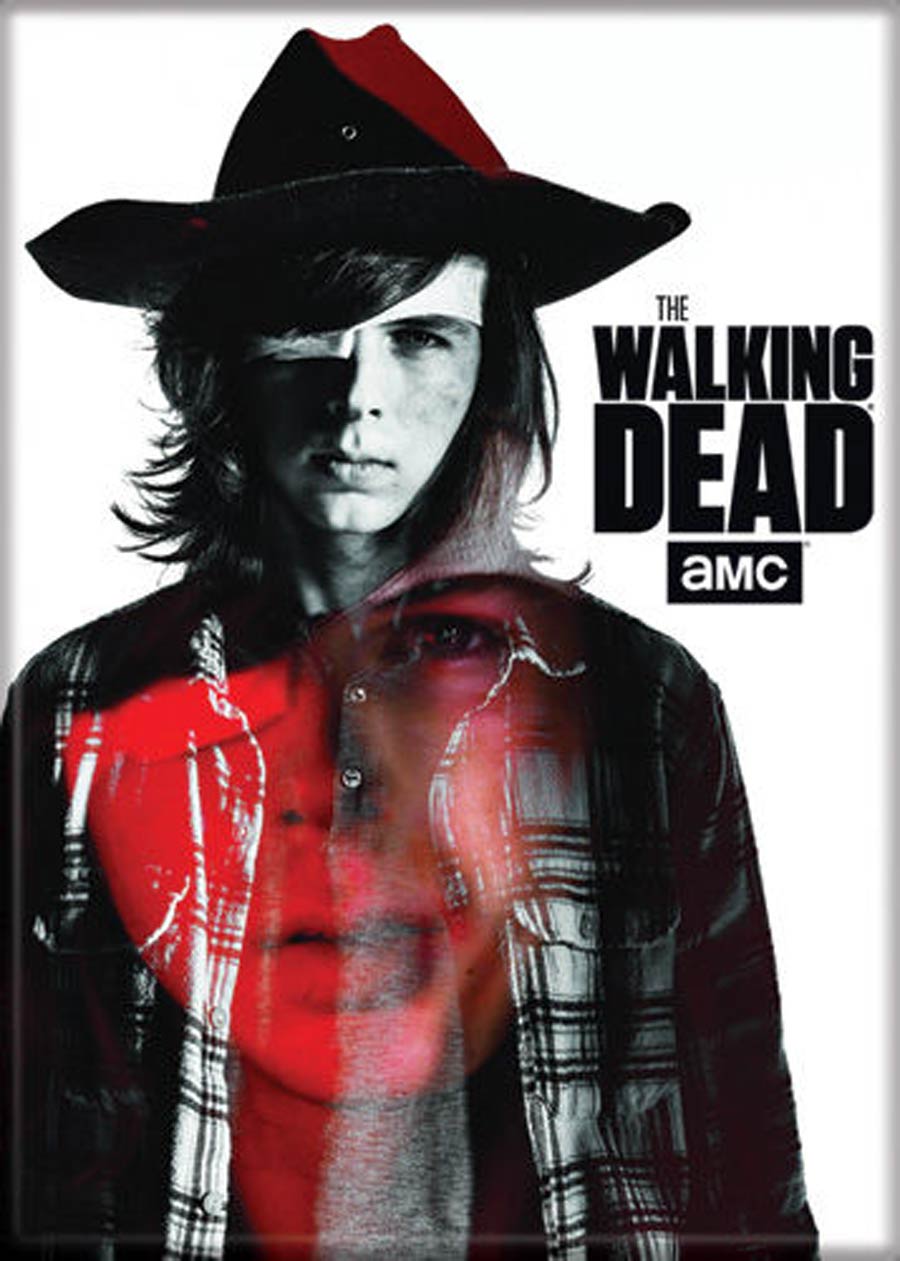 Walking Dead 2.5x3.5-inch Magnet - Carl BW (72404WD)