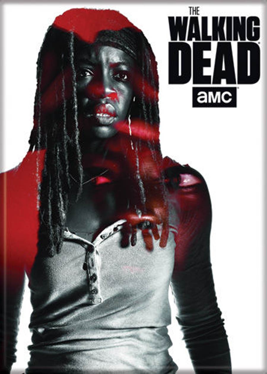 Walking Dead 2.5x3.5-inch Magnet - Michonne BW (72418WD)