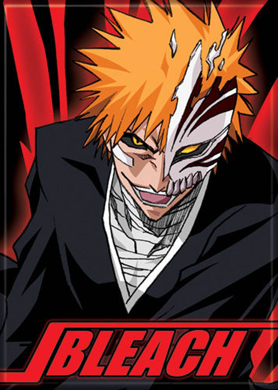 Bleach 2.5x3.5-inch Magnet - Ichigo (72141BL)