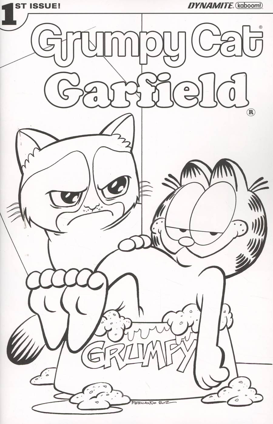 Grumpy Cat Garfield #1 Cover E Variant Fernando Ruiz Coloring Book Cover