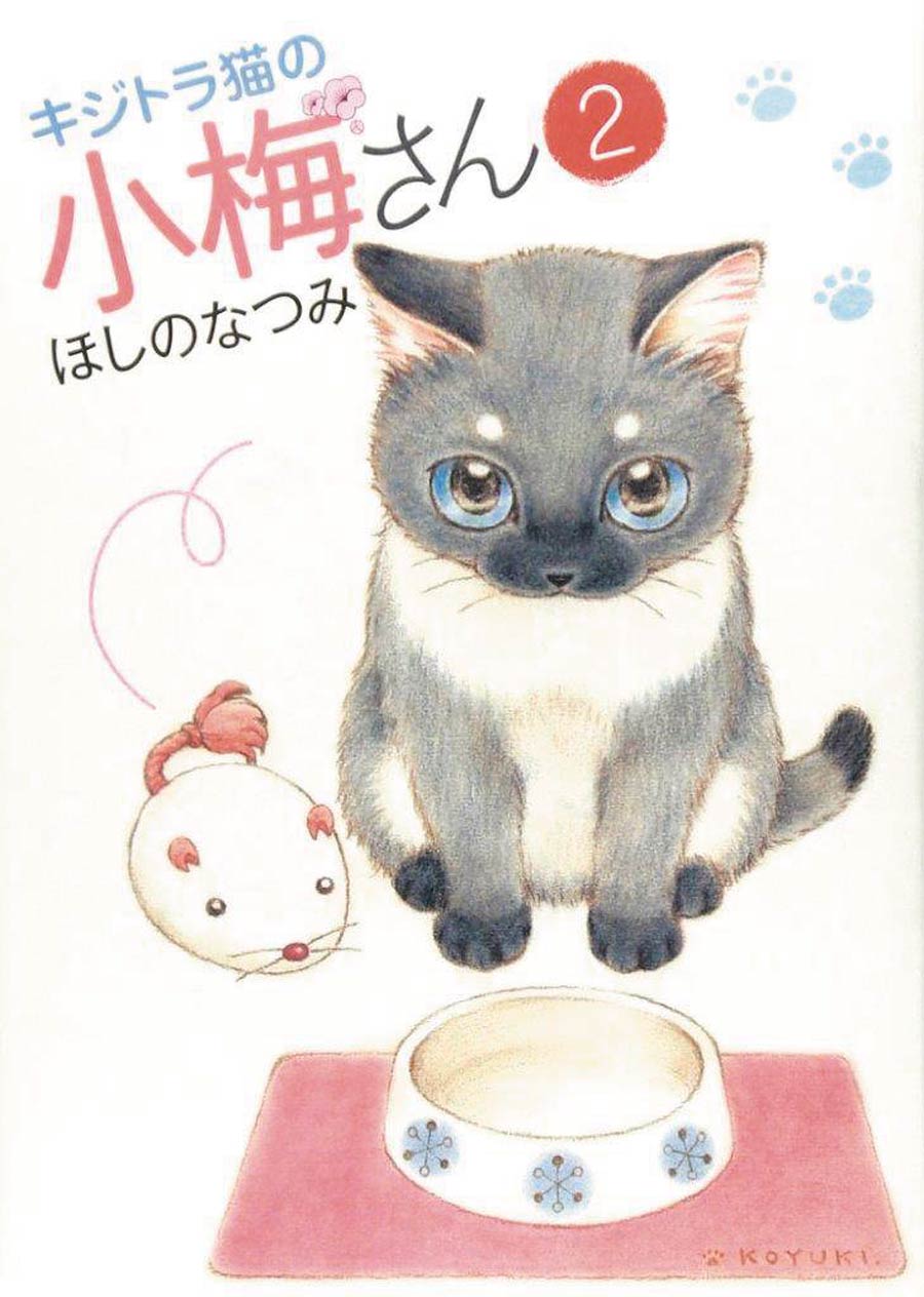 Plum Crazy Tales Of A Tiger-Striped Cat Vol 2 GN